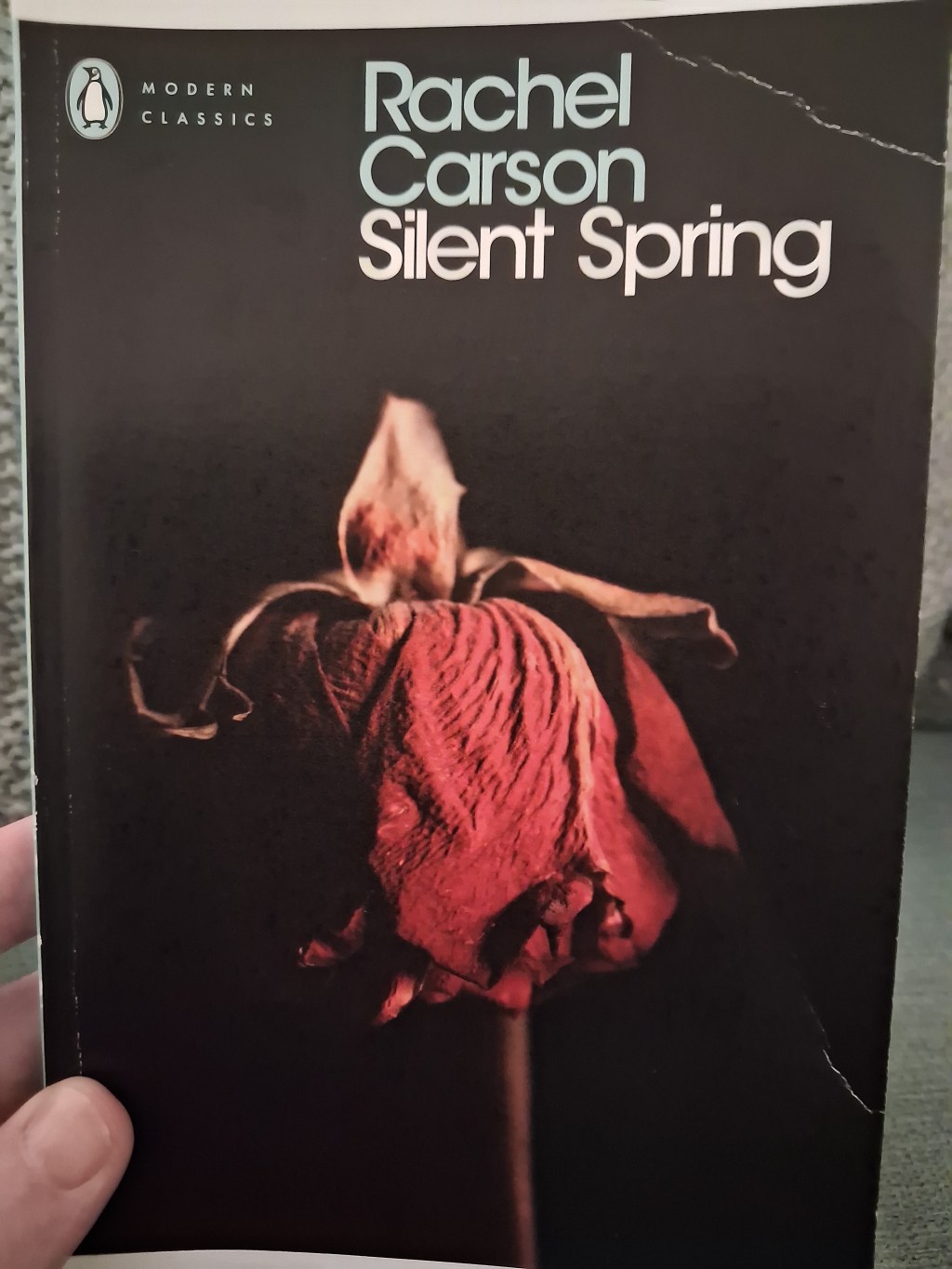 Review of ‘Silent Spring’ by Rachel&nbsp;Carson